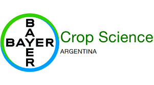 Bayer